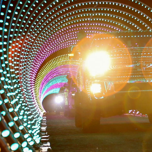 Holiday light show