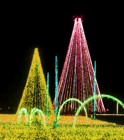 Christmas_06 Arizona Lights in the Night begins November ‘20
